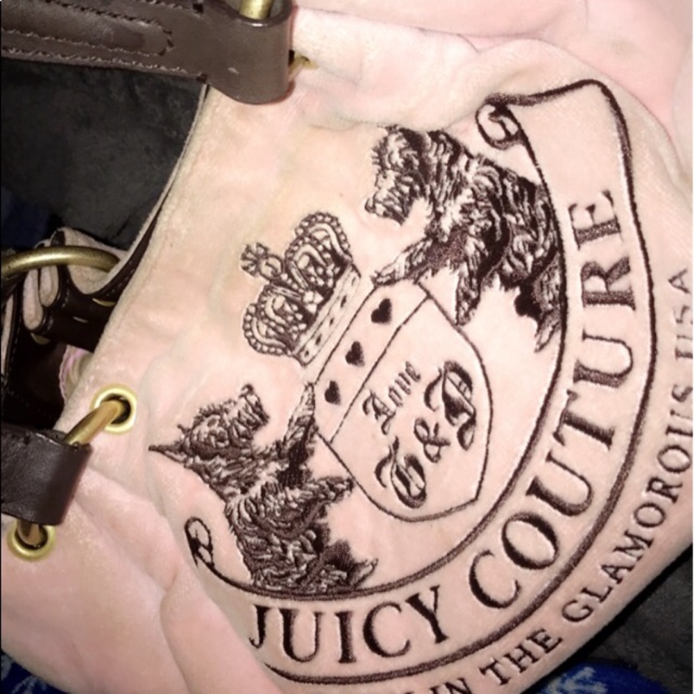 Juicy couture purse